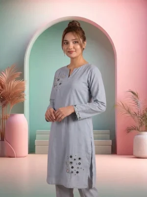 Light Grey Mirror Work 2PC Suit